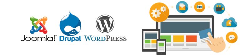Which CMS best fits your needs?
